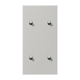 Centre plate with toggle lever "cylinder", 2 x 2 toggle levers, gris clair 31 (32013)
