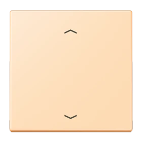 LB Management push-button, with arrow symbols, ocre (32060)