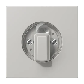 Abdeckung 1fach, für Drehschalter, gris clair 31 (32013)