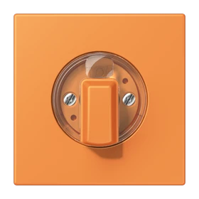 Abdeckung 1fach, für Drehschalter, orange clair (32081)