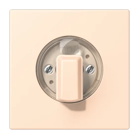 Abdeckung 1fach, für Drehschalter, terre sienne pâle (32123)