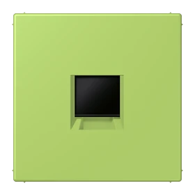 Abdeckung (gerastet) für Modular-Jack-Steckbuchsen, 1fach, UMA-CAT6A, RADIALL, Panduit, Assmann, vert clair (32052)