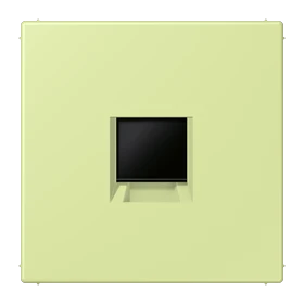 Abdeckung (gerastet) für Modular-Jack-Steckbuchsen, 1fach, UMA-CAT6A, RADIALL, Panduit, Assmann, vert jaune clair (32053)