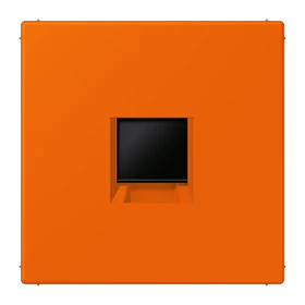 Abdeckung (gerastet) für Modular-Jack-Steckbuchsen, 1fach, UMA-CAT6A, RADIALL, Panduit, Assmann, orange (32080)