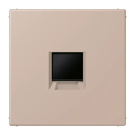 Abdeckung (gerastet) für Modular-Jack-Steckbuchsen, 1fach, UMA-CAT6A, RADIALL, Panduit, Assmann, ombre brûlée claire (32131)