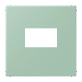 Centre plate for USB charger, vert anglais clair (32041)