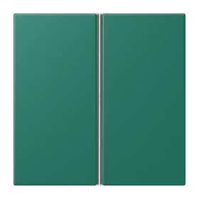 Tasterset 2-voudig, F40, vert anglais (32040)