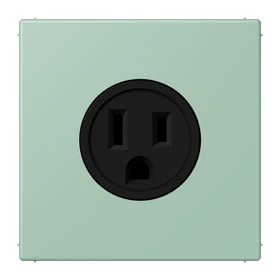 Steckdose, US-Norm NEMA, Schraubklemmen, Thermoplast lackiert, vert anglais clair