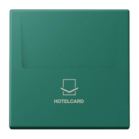 Key card holder, vert anglais (32040)