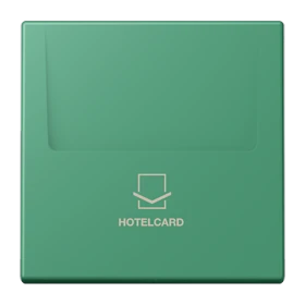 Key card holder, vert 59 (4320G)