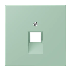 Abdeckung für IAE/UAE-Anschlussdosen, 1 x 8-polig, vert anglais clair (32041)