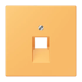 Abdeckung für IAE/UAE-Anschlussdosen, 1 x 8-polig, ocre jaune clair (4320L)