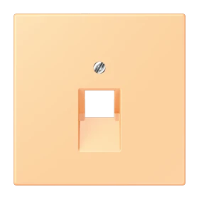 Abdeckung für IAE/UAE-Anschlussdosen, 1 x 8-polig, terre sienne claire 59 (4320P)