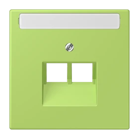 Centre plate for IAE/UAE sockets, 2 x 8-pole, vert clair (32052)
