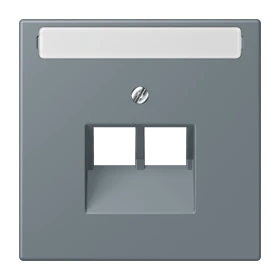 Centre plate for IAE/UAE sockets, 2 x 8-pole, gris 59 (4320H)