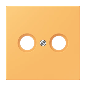 Centre plate 1-gang, for antenna outlet sockets, ocre jaune clair (4320L)