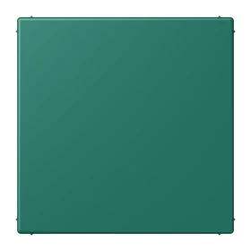 Afdekking blind (klembevestiging), vert anglais (32040)
