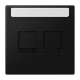 Centre plate (snap-on fixing) for modular jack sockets, 2-gang, UMA-CAT6A, RADIALL, Panduit, Assmann, matt graphite black