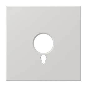Centre plate, for panic button, light grey