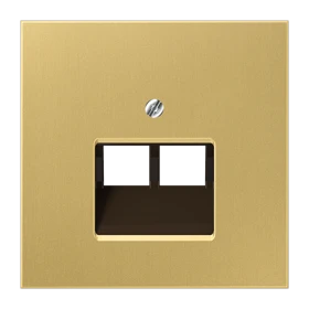 Centre plate for IAE/UAE sockets, 2 x 8-pole, classic brass