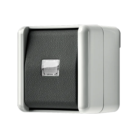 1-gang push-button, 2-pole, 2-way, 10 A, grey