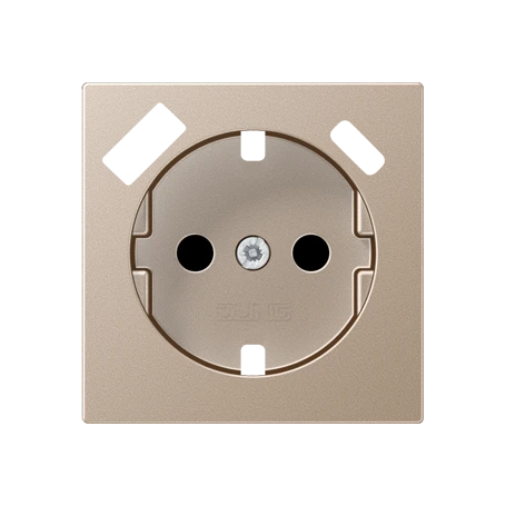 Centre plate for SCHUKO® socket insert with USB charger, Safety Plus, thermoplastic, champagne