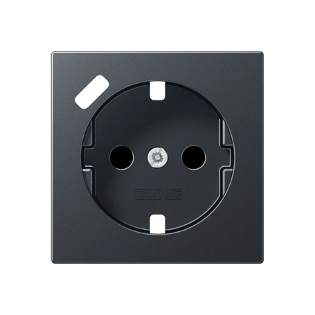 Centre plate for SCHUKO® socket insert with USB charger, Safety Plus, thermoplastic, matt anthracite