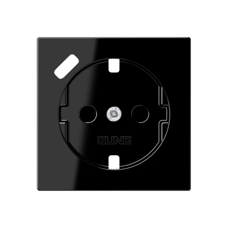 Centre plate for SCHUKO® socket insert with USB charger, Safety Plus, thermoplastic, black