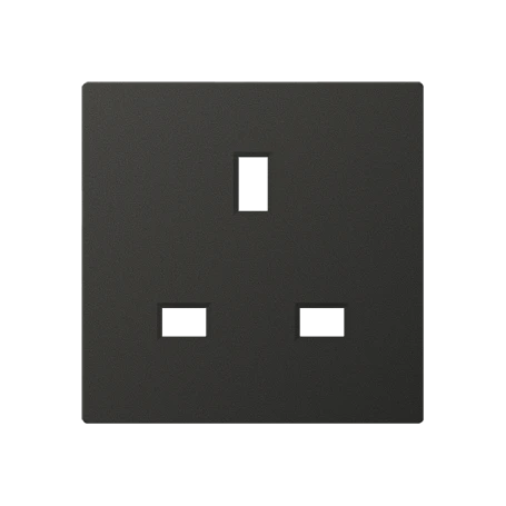 Centre plate for socket insert BS 2521 EINS and 3521 EINS, thermoplastic lacquered, matt anthracite
