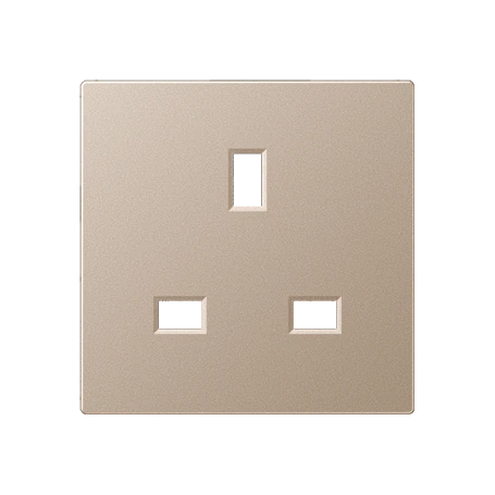 Centre plate for socket insert BS 2521 EINS and 3521 EINS, champagne