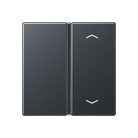 Cover 1-gang, F40, matt anthracite