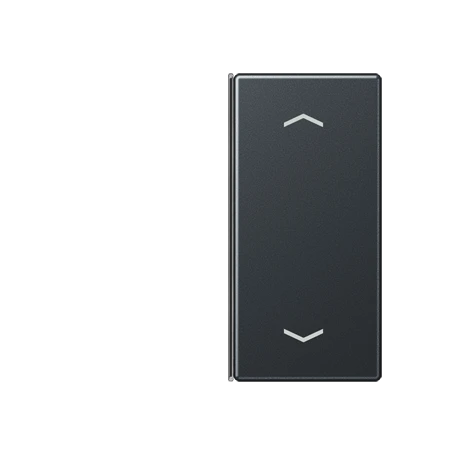 Module de touche 2 voies, F40, Anthracite mat