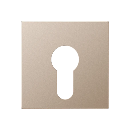 Centre plate, for key switch without protection against dismounting, champagne