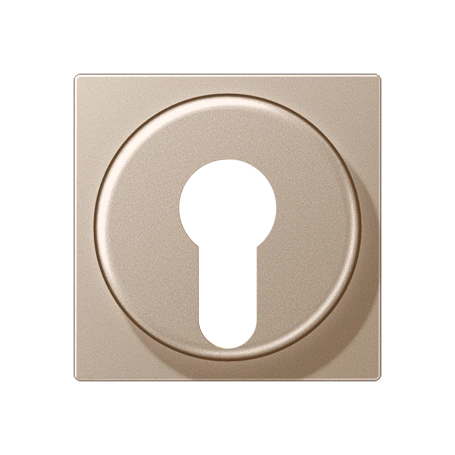 Centre plate, for key switch with protection against dismounting, champagne