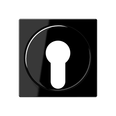 Centre plate, for key switch with protection against dismounting, black