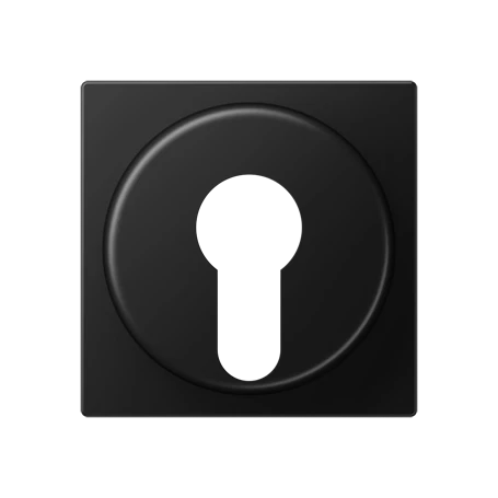 Centre plate, for key switch with protection against dismounting, matt graphite black