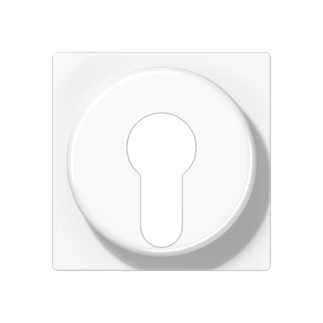 Centre plate, for key switch with protection against dismounting, white