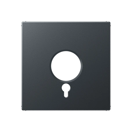 Centre plate, for panic button, matt anthracite