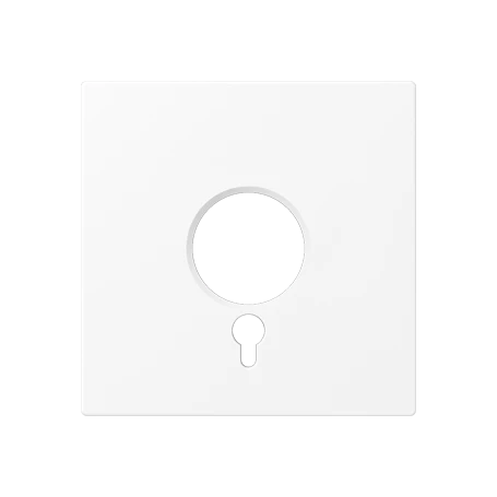 Centre plate, for panic button, matt snow white