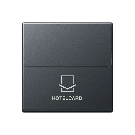 Key card holder, matt anthracite