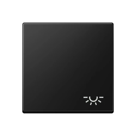 Schakelwip 1-voudig, Symbool "licht", grafietzwart mat