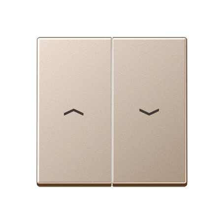 Schakelwip, met pijlsymbolen, champagne