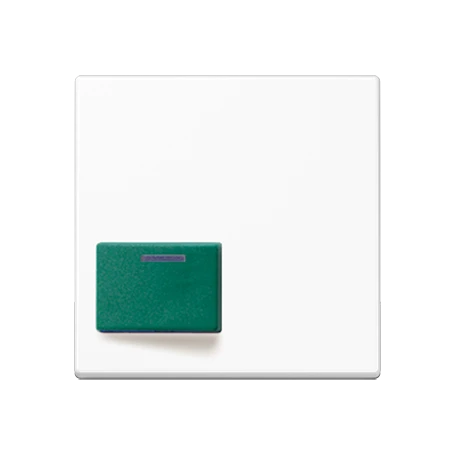 Centre plate for Ackermann, Typ 73642 C, white