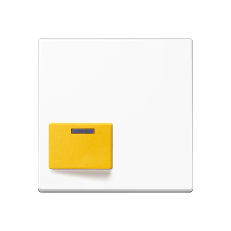 Centre plate for Ackermann, Typ 73642 D, white