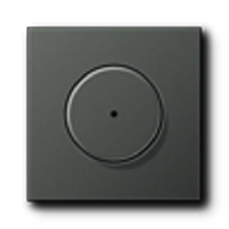 Electronic timer, anthracite