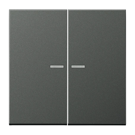 Wippe 1fach, F10, anthrazit