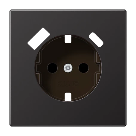 Centre plate for SCHUKO® socket insert with USB charger, Safety Plus, dark (aluminium lacquered)