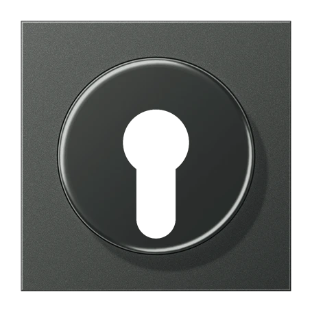 Centre plate, for key switch with protection against dismounting, anthracite