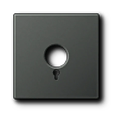 Centre plate, for panic button, anthracite