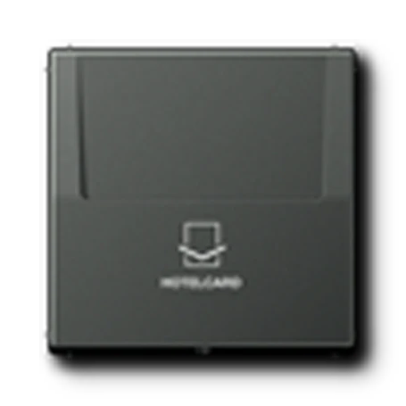 Key card holder, antracito sp.